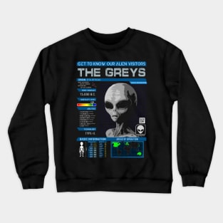 Our Alien Visitors: The Greys Crewneck Sweatshirt